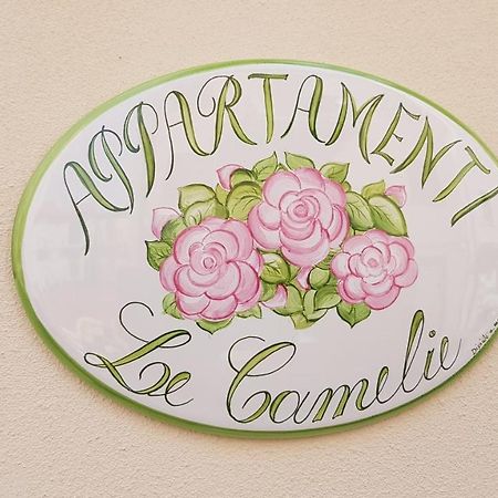 Le Camelie -Appartamenti Nuovi Porto SantʼElpidio Zewnętrze zdjęcie