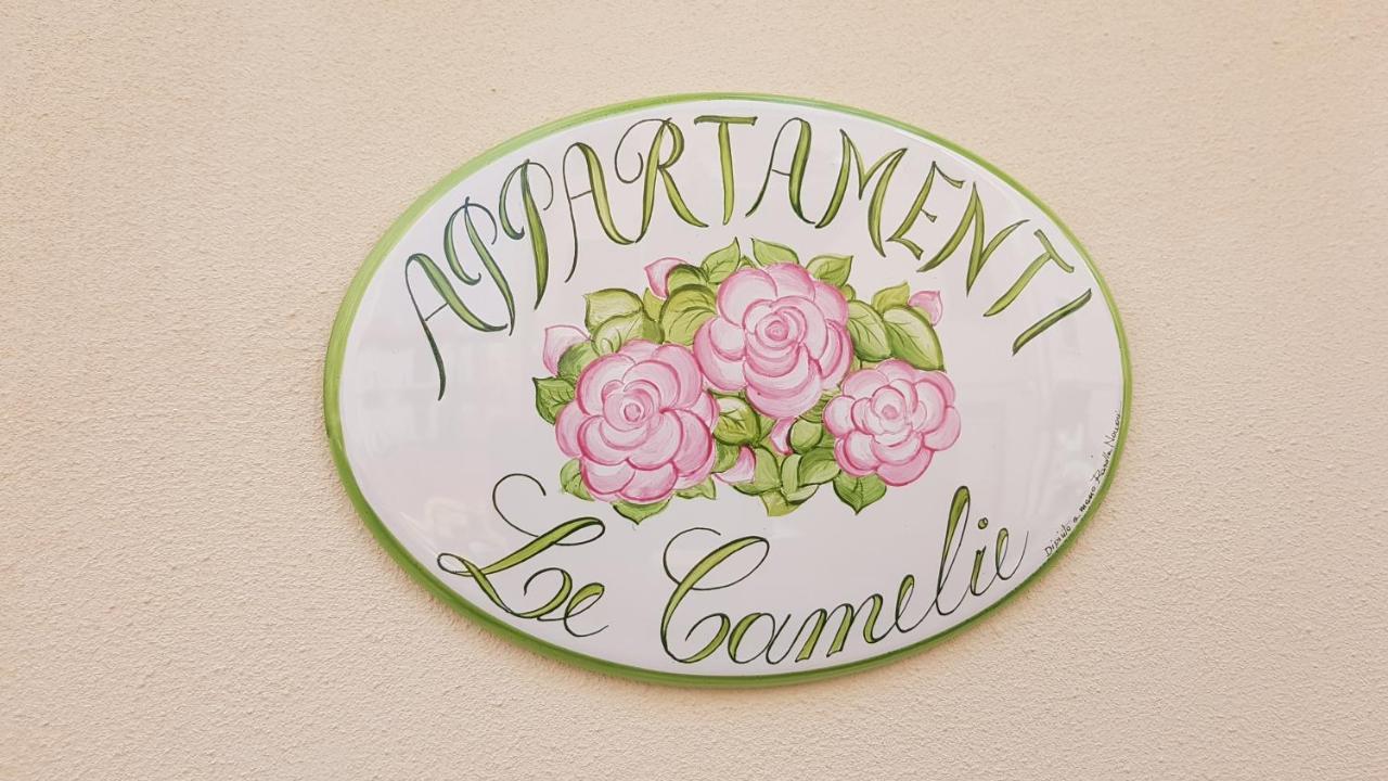 Le Camelie -Appartamenti Nuovi Porto SantʼElpidio Zewnętrze zdjęcie